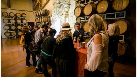 City & Wine Tour (1-Day Hop-On Hop-Off + Half Day Wine Country Tour) From San Francisco