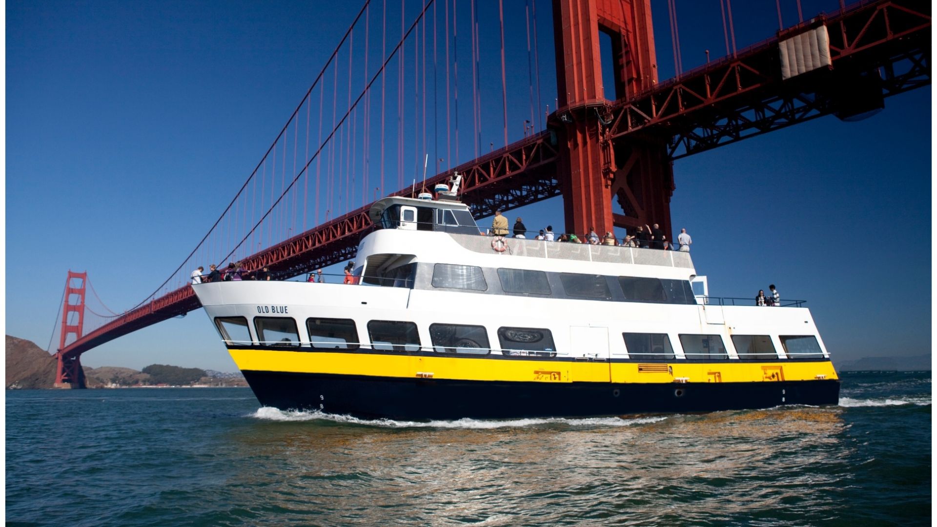 Bus & Boat Adventure (1-Day Hop-On Hop-Off + Bay Cruise)