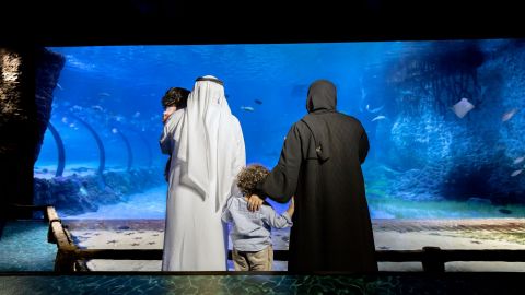 The National Aquarium Abu Dhabi - VIP Package
