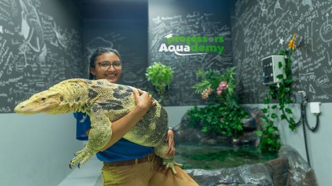 The National Aquarium Abu Dhabi – Beyond the Glass Experience & Butterfly Garden Abu Dhabi