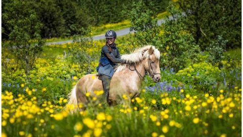 Viking Horse Riding Tour and Golden Circle Classic Tour from Reykjavik