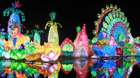 Dubai Garden Glow With Access to Glow Park and Dinosaur Park