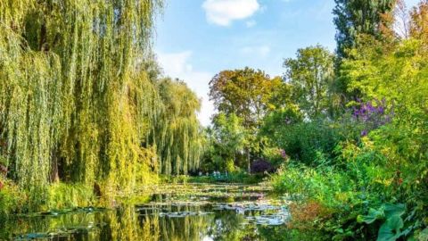All Day Audio Guided Giverny and Skip The Line Versailles with lunch from Paris