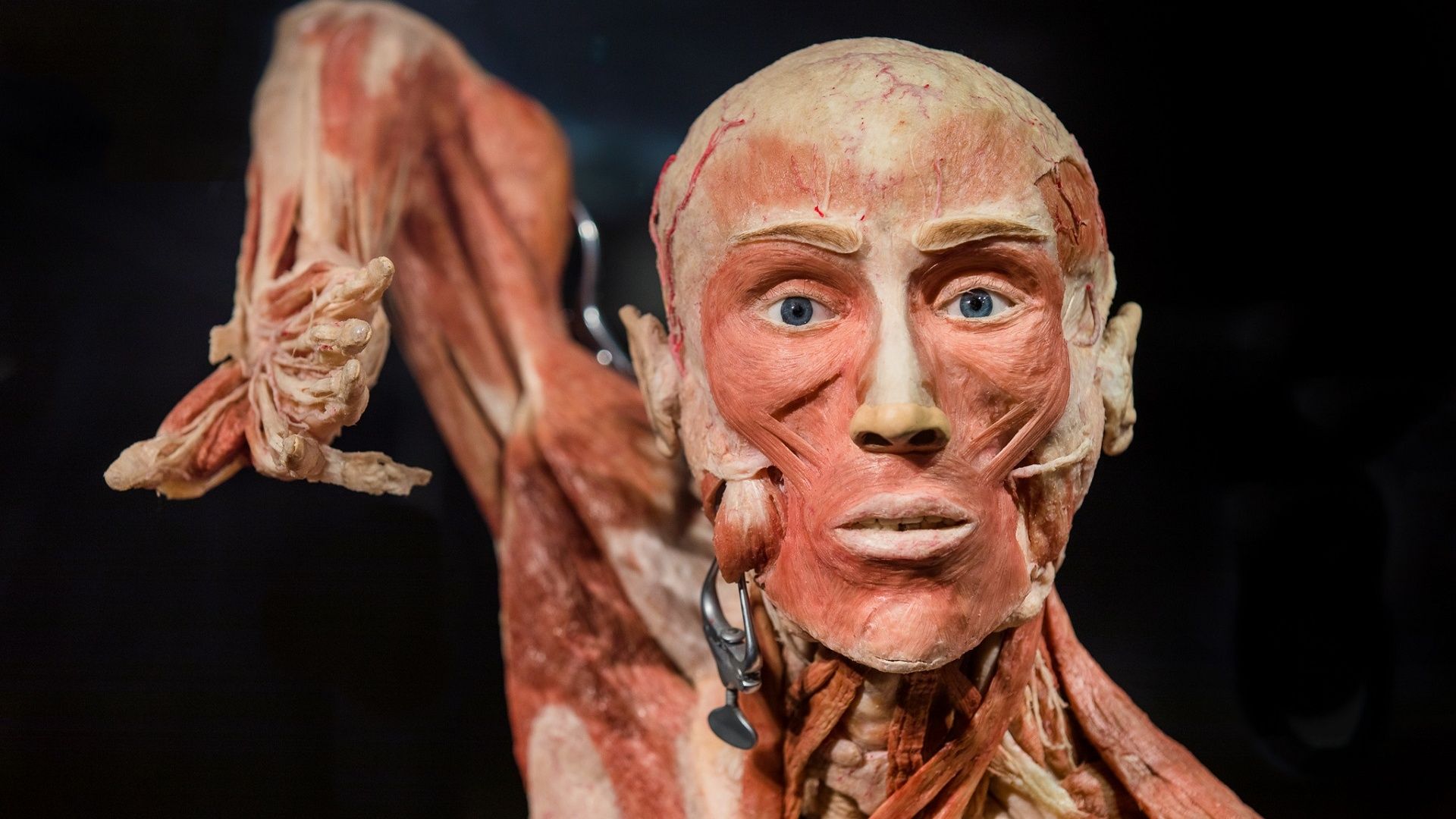 BODY WORLDS Amsterdam