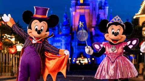 Disney Mickey’s Not So Scary Halloween Party Ticket 2024