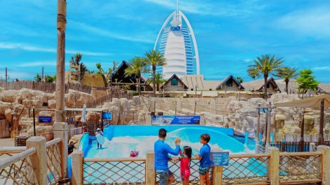 Wild Wadi Waterpark  Entrance ticket only