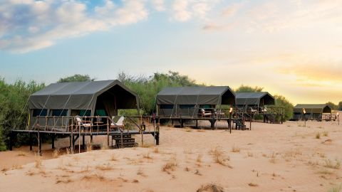 Arabian Adventures - Overnight Desert Camping with Desert View - Shared Vehicle