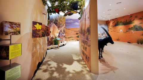 Dubai Desert Conservation Reserve Visitor Centre - General Admission - Add on for Schools