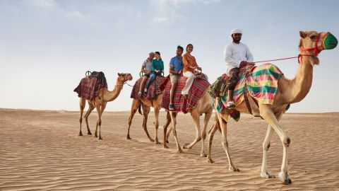 Arabian Adventures - Camel Ride Experience (Summer) - Private Vehicle up to 6 Guests