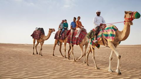 Arabian Adventures - Camel Ride Experience (Winter) - Shared Vehicle