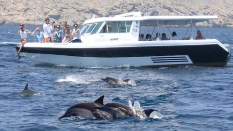 2 Hours Dolphin Watching from Muscat Oman – Early Morning Tour