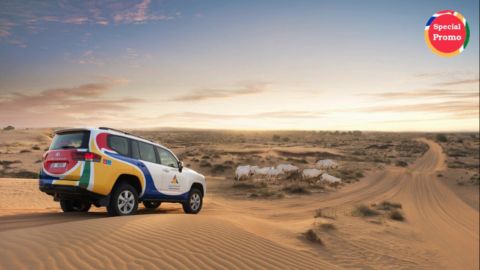 Evening Desert Safari sharing basis - Summer Offer B2C