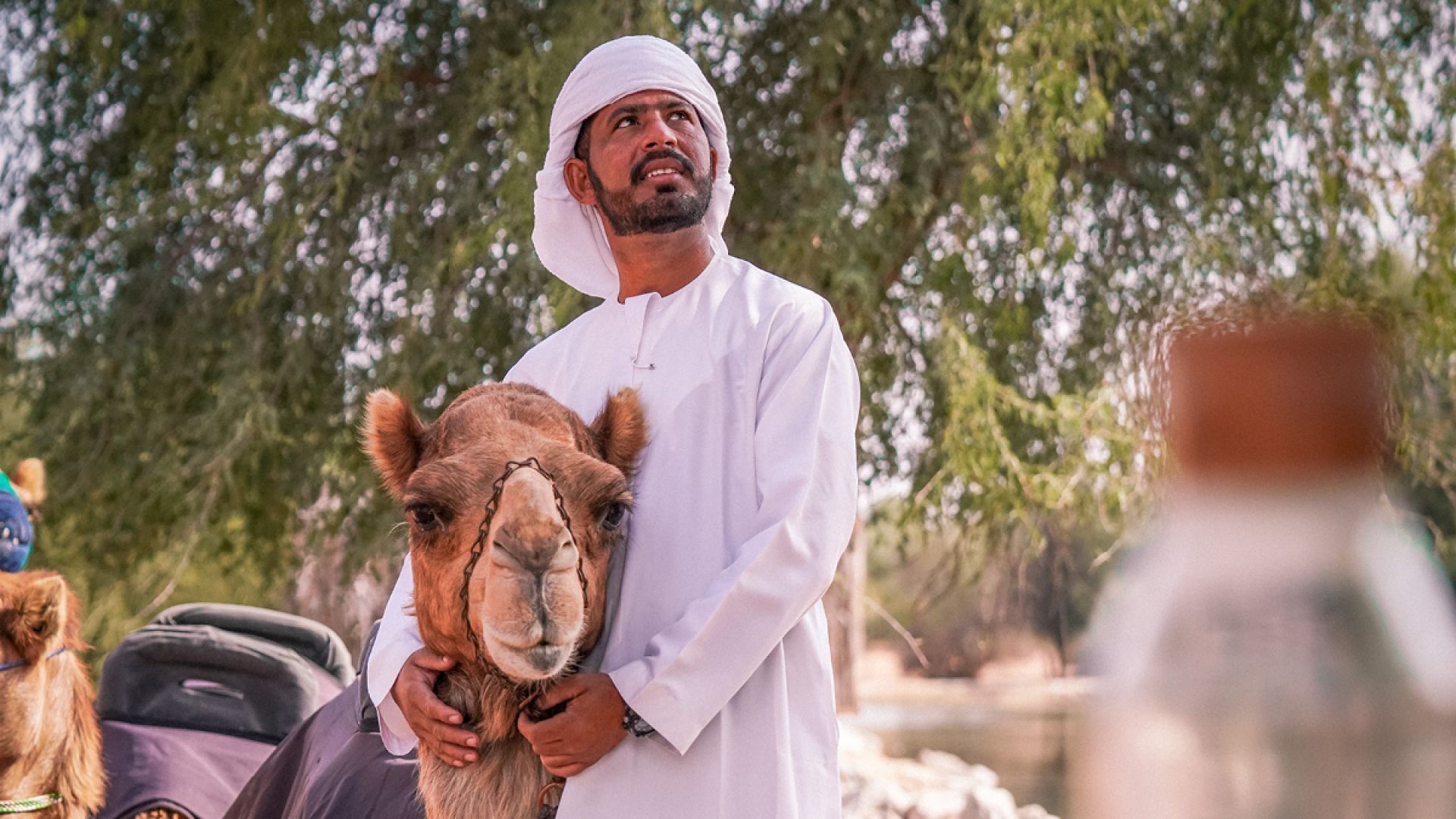 School Trip - Dubai Wildlife Safari - Standard - ON REQUEST
