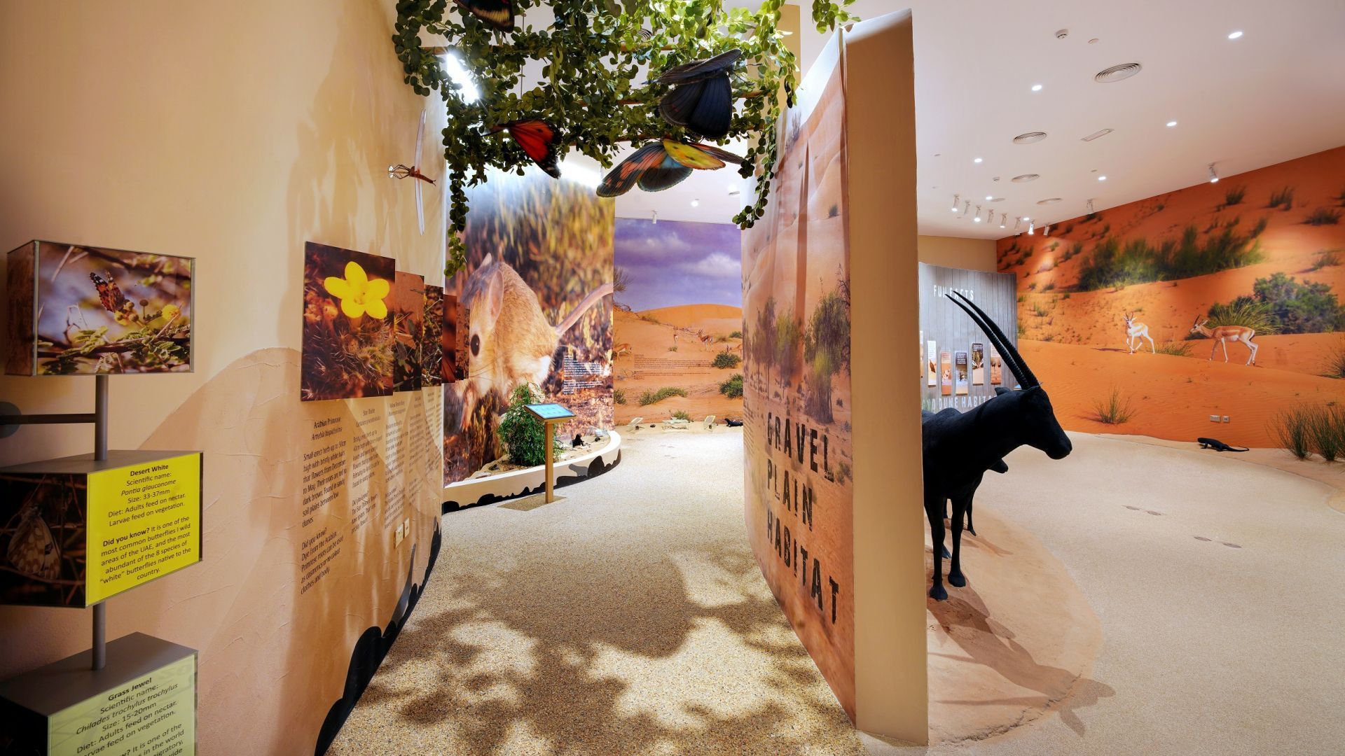 School Trip - Dubai Wildlife Safari - Standard - ON REQUEST