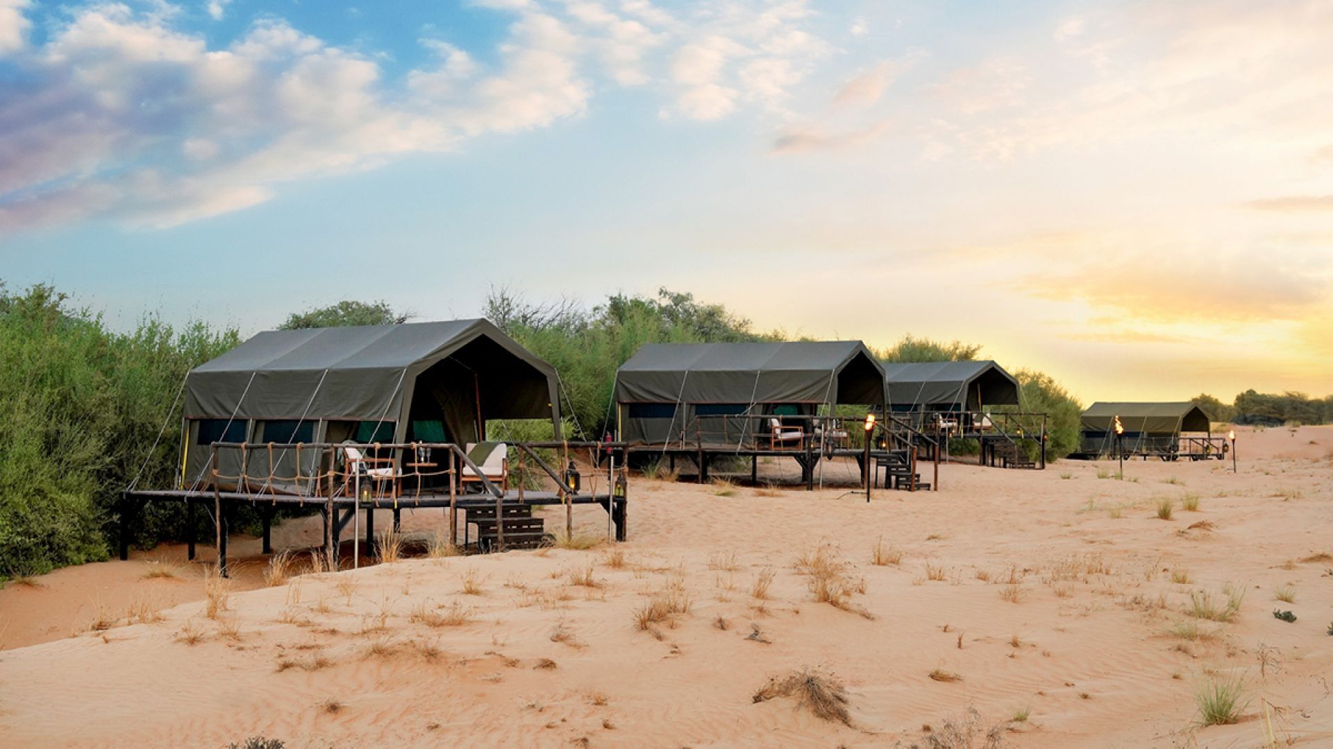 Overnight safari - soft drinks with shared transfers - 50%