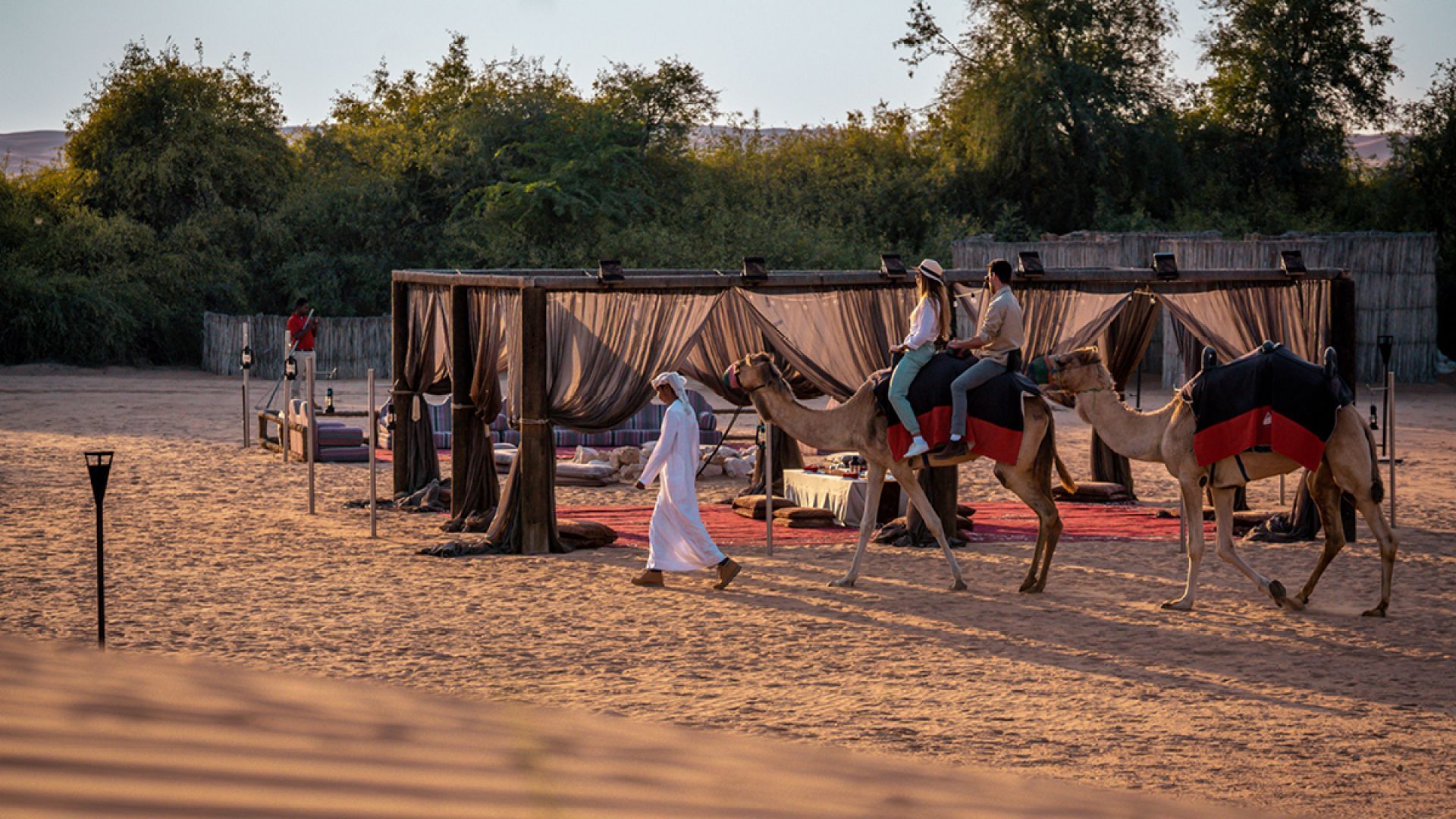 Overnight safari - soft drinks without transfer - 50% OFF