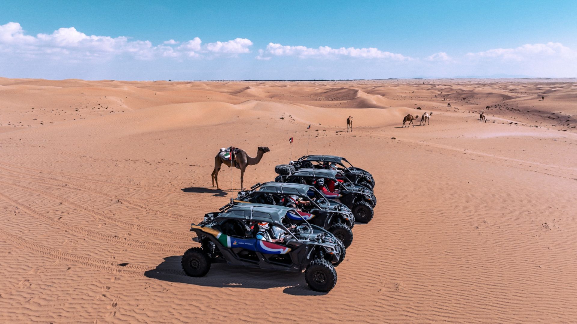 Dune Buggy Adventure - Passenger Experience, Shared Buggy (Evening run 01) SELF DRIVE - BOGO