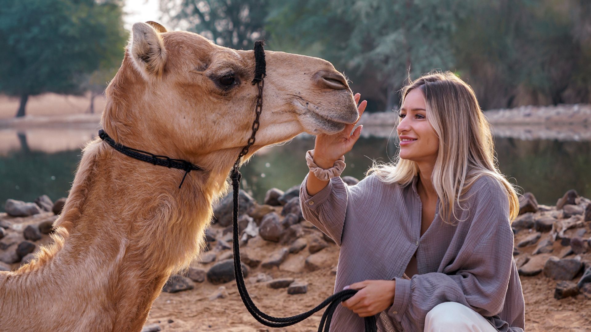 Morning Desert Adventure, Dubai - Shared Vehicle - BOGO