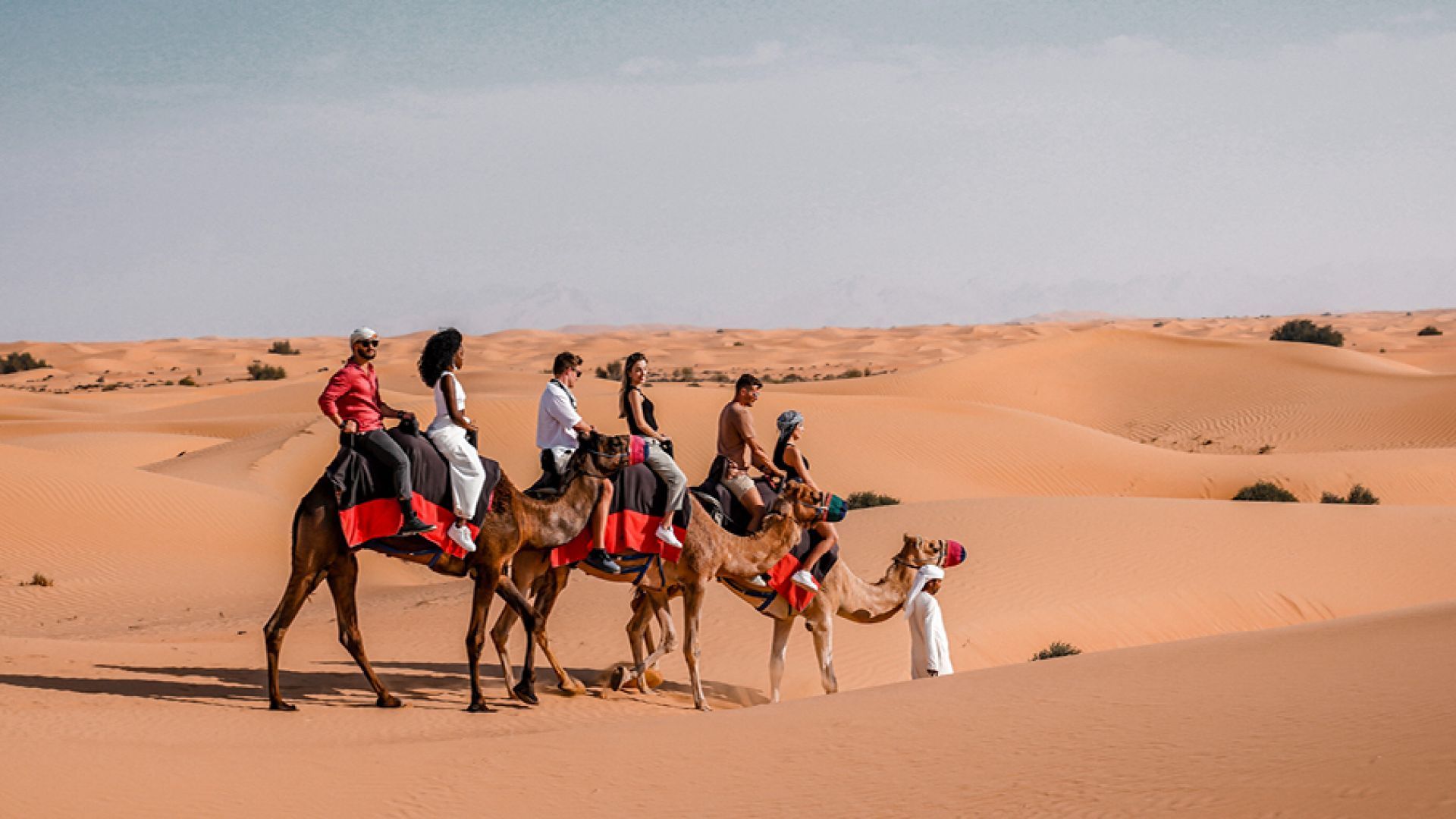 Evening Desert Safari sharing basis - Summer Offer B2C
