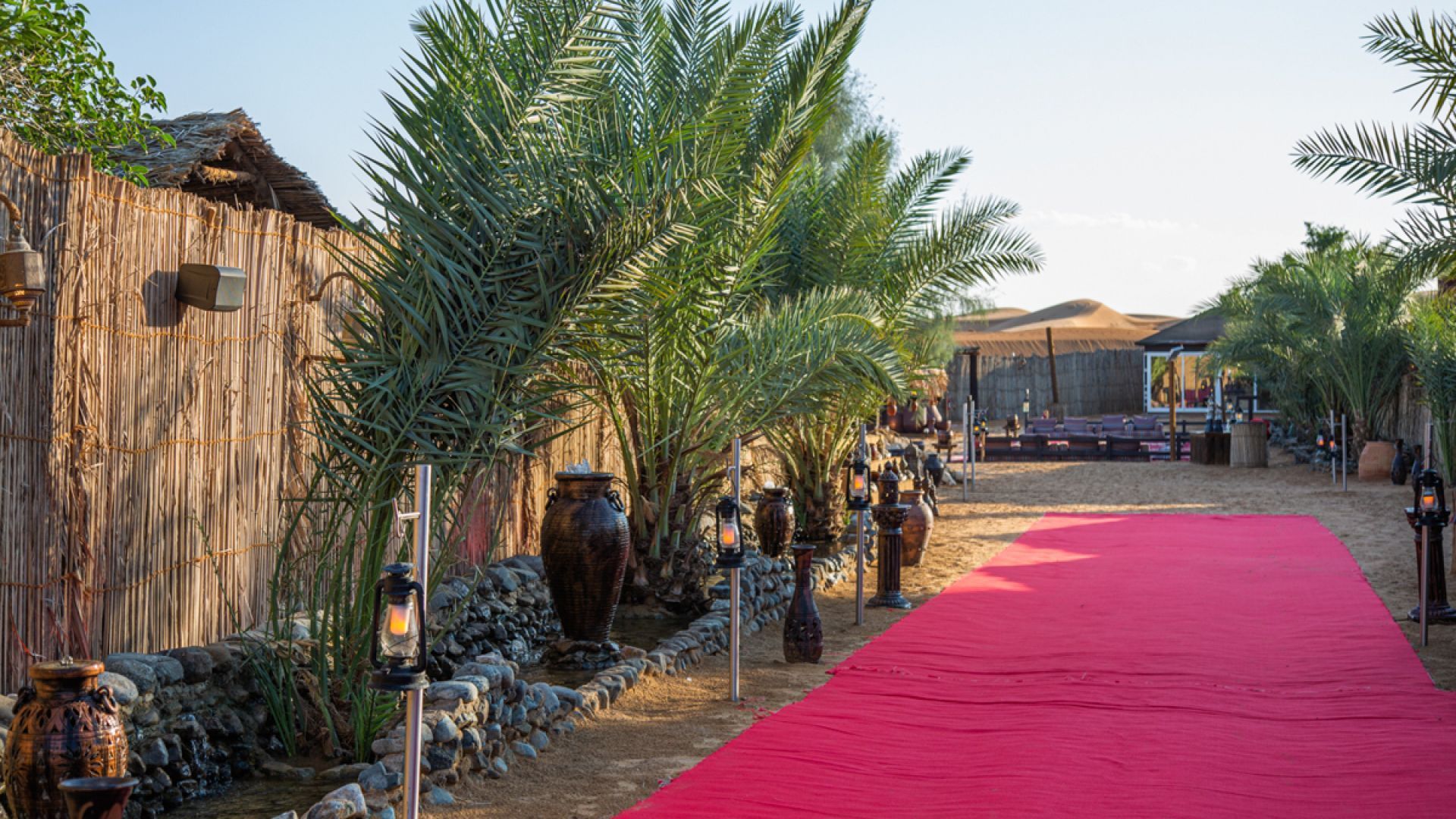 Evening Desert Safari sharing basis - Summer Offer B2C