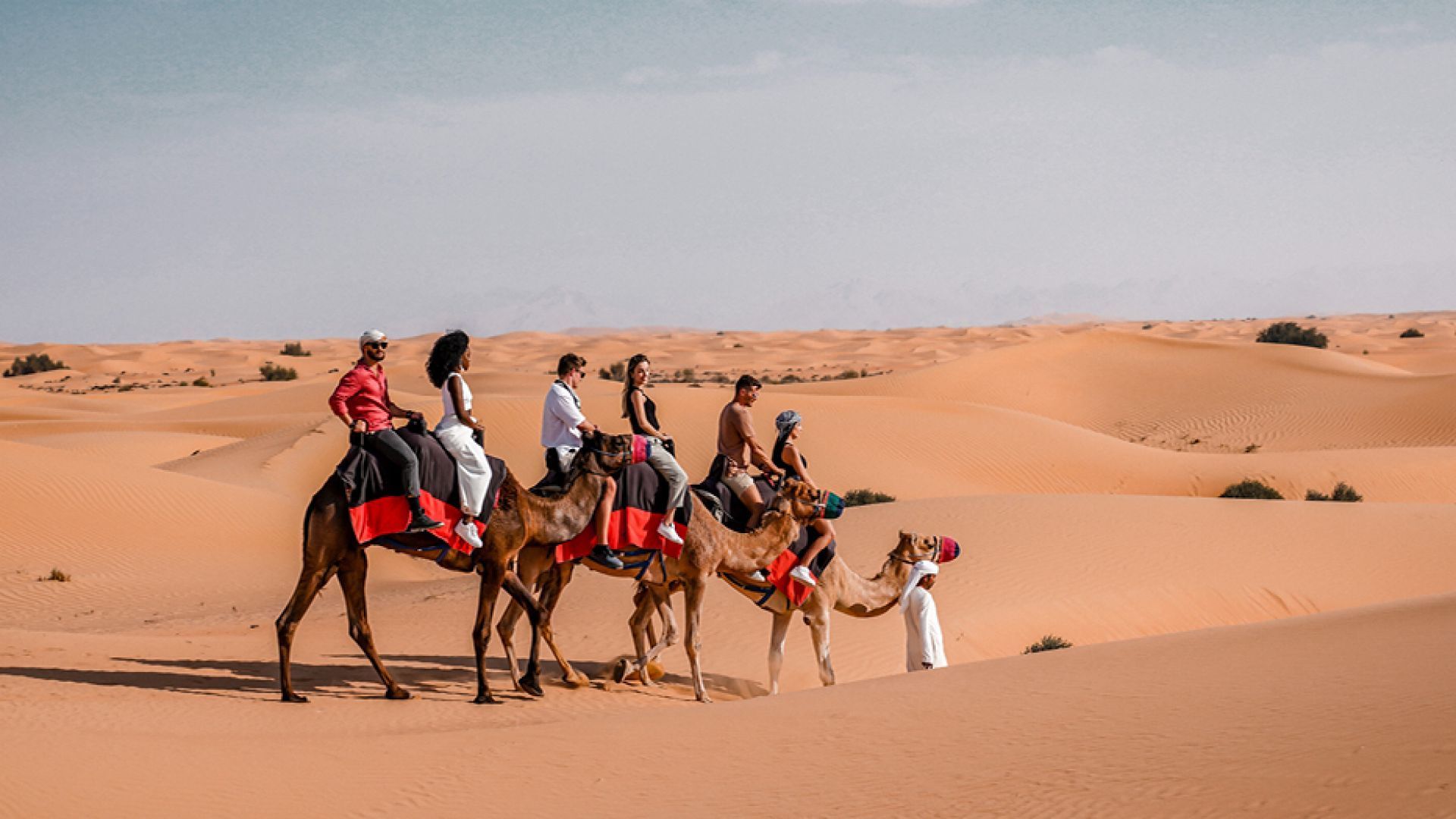 Morning Desert Adventure, Dubai - Shared Vehicle - 50% OFF - OFFLINE