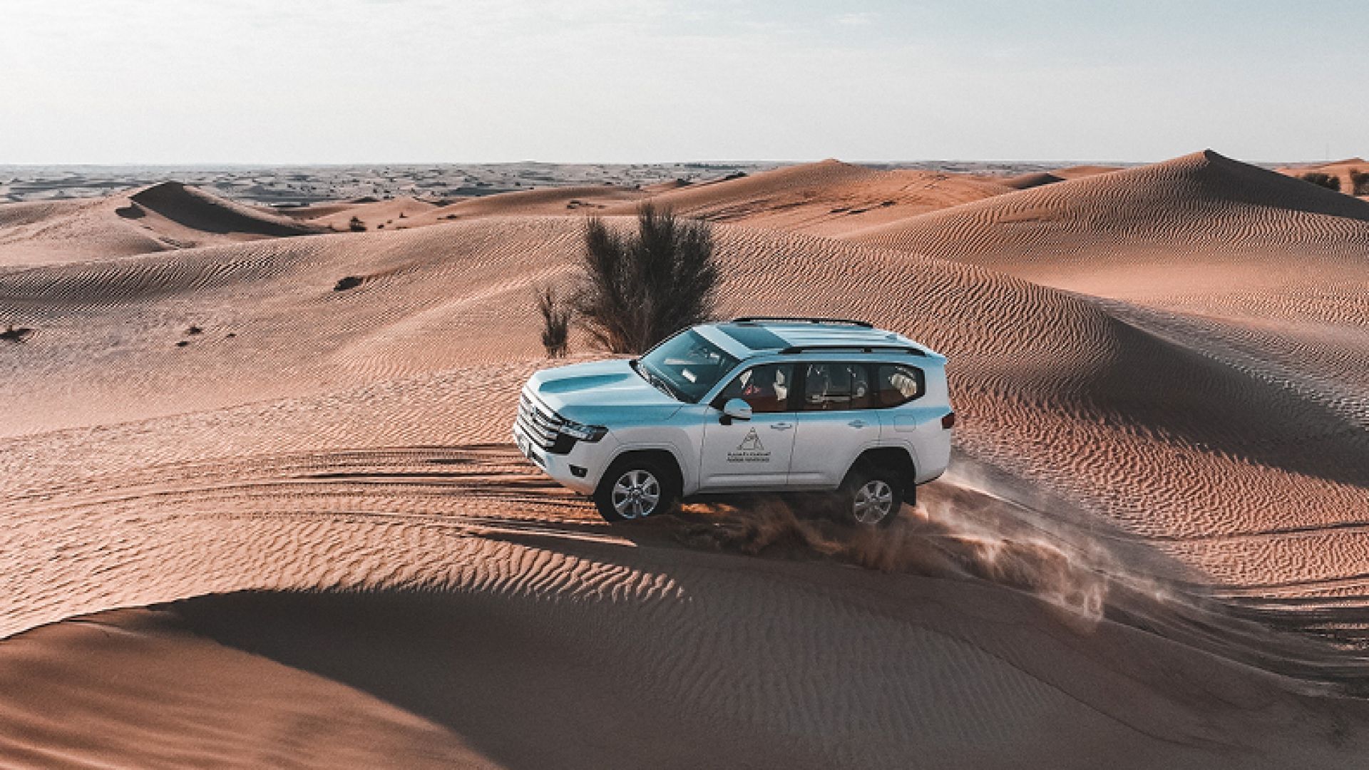 Morning Desert Adventure, Dubai - Shared Vehicle - 50% OFF - OFFLINE