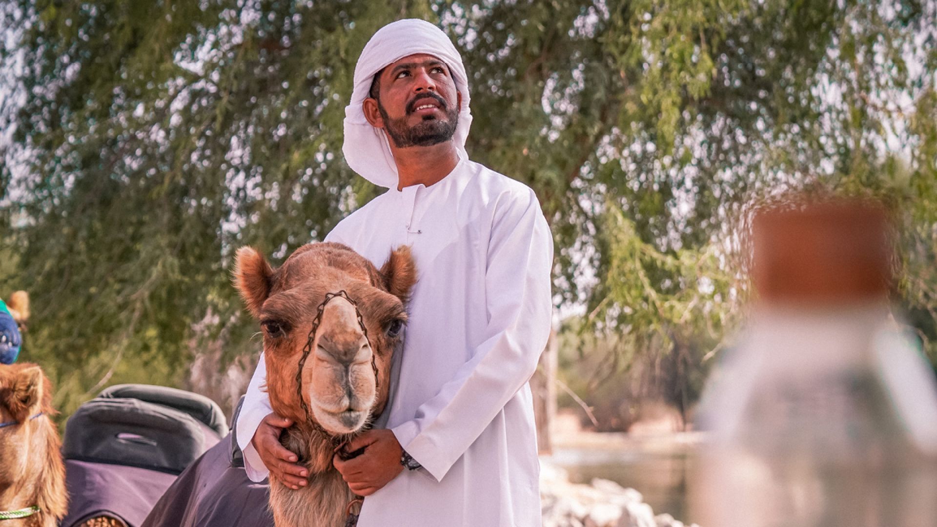 Camel Ride Experience (Summer) - Shared Vehicle - OFFLINE