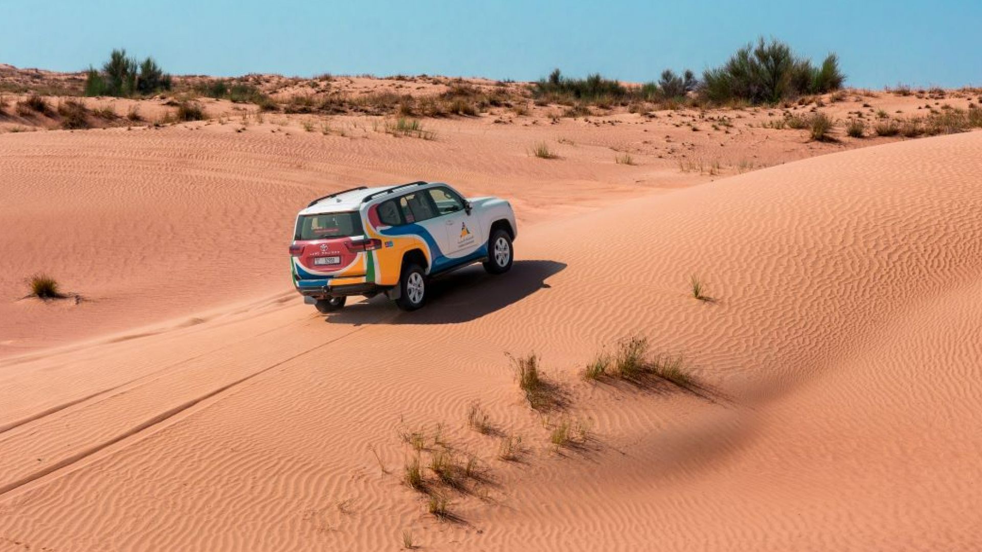Camel Ride Experience (Summer) - Shared Vehicle - OFFLINE