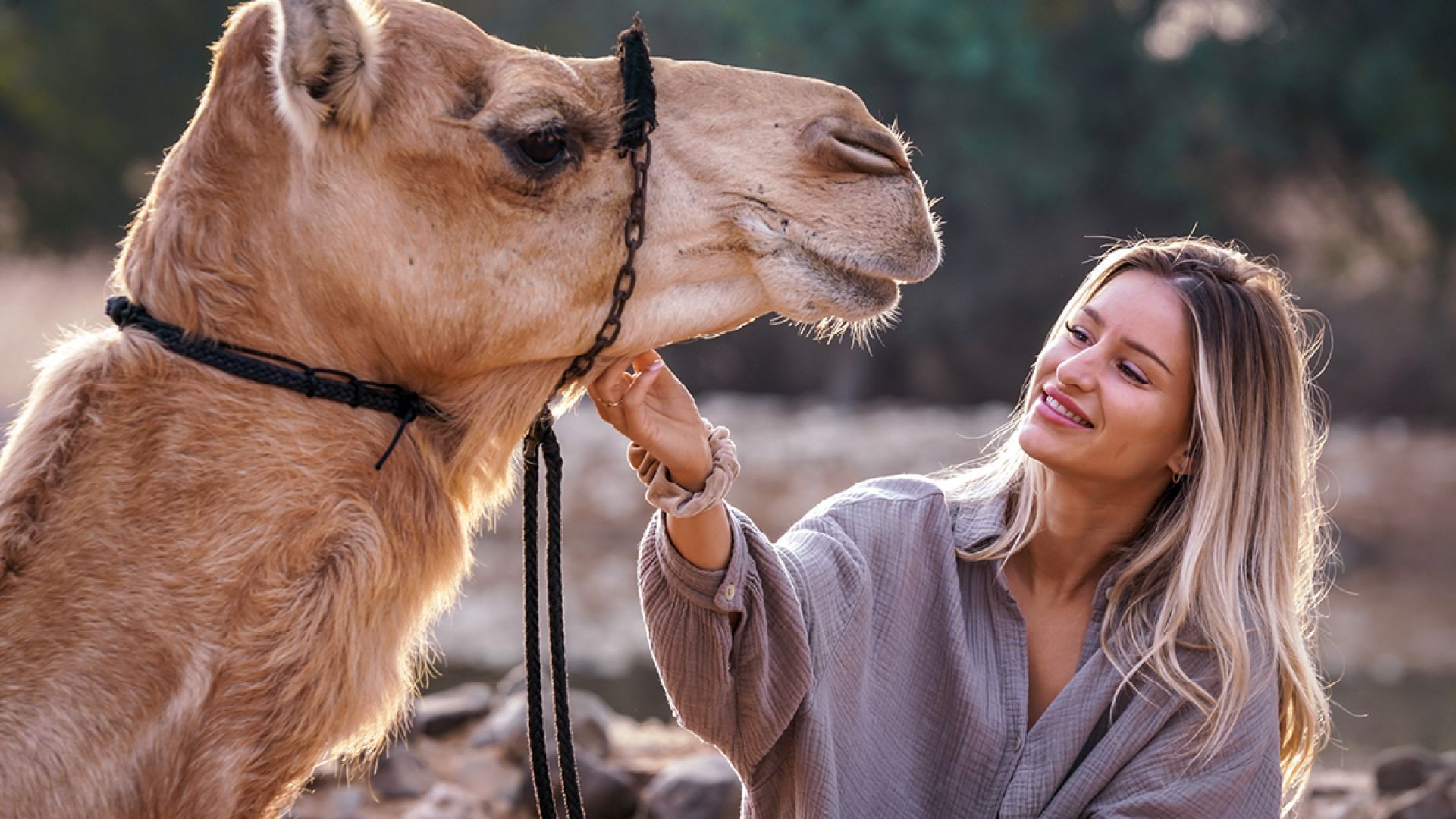 Camel Ride Experience (Summer) - Shared Vehicle - OFFLINE