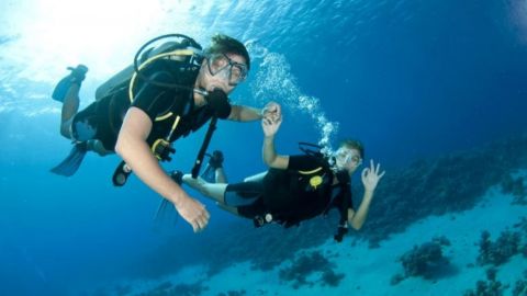 Nemo Diving Center from Dubai: Scuba Diving for Beginners in Fujairah