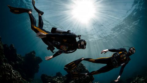 Nemo Diving Center - Discovery Scuba Dive – Dubai shore dive