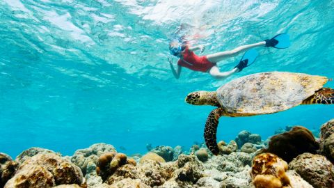 Nemo Diving Center from Dubai: Scuba Diving for Beginners in Fujairah