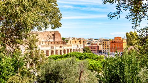 Ancient Rome Tour: Colosseum, Roman Forum & Palatine Hill Skip the Line- 2B PM 