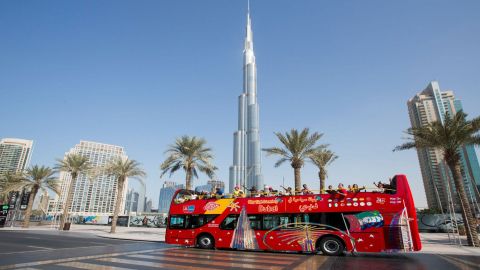 City Sightseeing - 24 Hours Hop On Hop Off Ticket - Summer Offer Combi