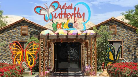 Dubai Butterfly Garden - General Admission