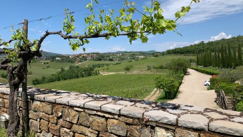 Wine Experience in Chianti Hills & Chianti Village from Florence