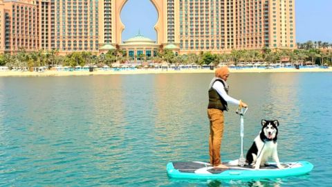 30-Minute Electric SUP Experience at Palm Jumeirah