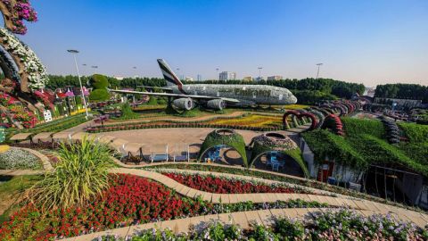 Miracle Garden & Butterfly Garden Combo