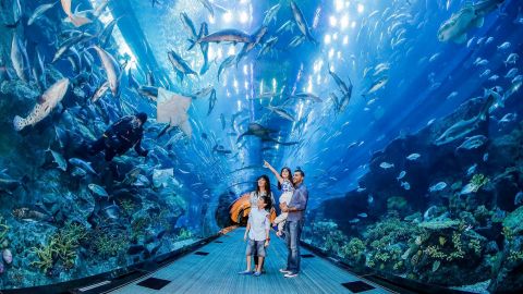 Dubai Attractions  Unlimited Pass 3 days 