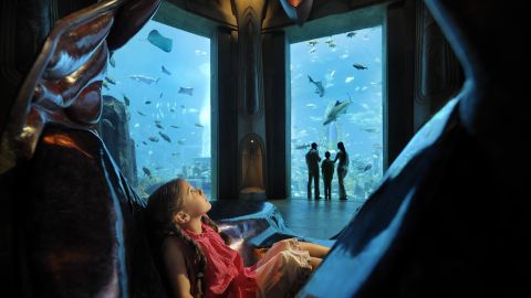 Dubai Flexi Attractions Pass 7 Attractions 