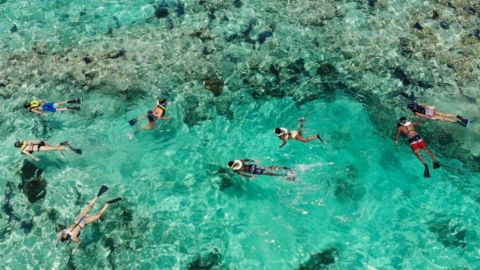 Key West Day Trip from Miami Snorkeling and Open Bar