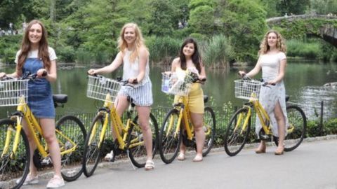 Central Park Bike Rental (4Hrs)