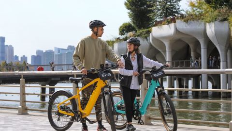 New York eBike Rentals (2Hrs)