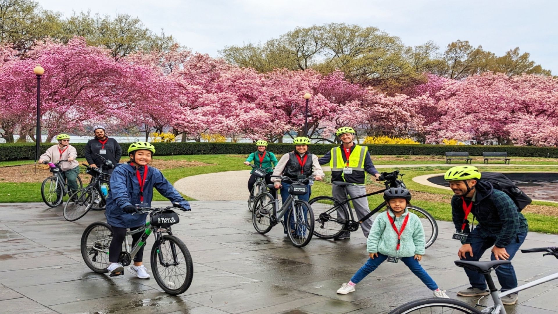 Cherry Blossoms Bike Tour