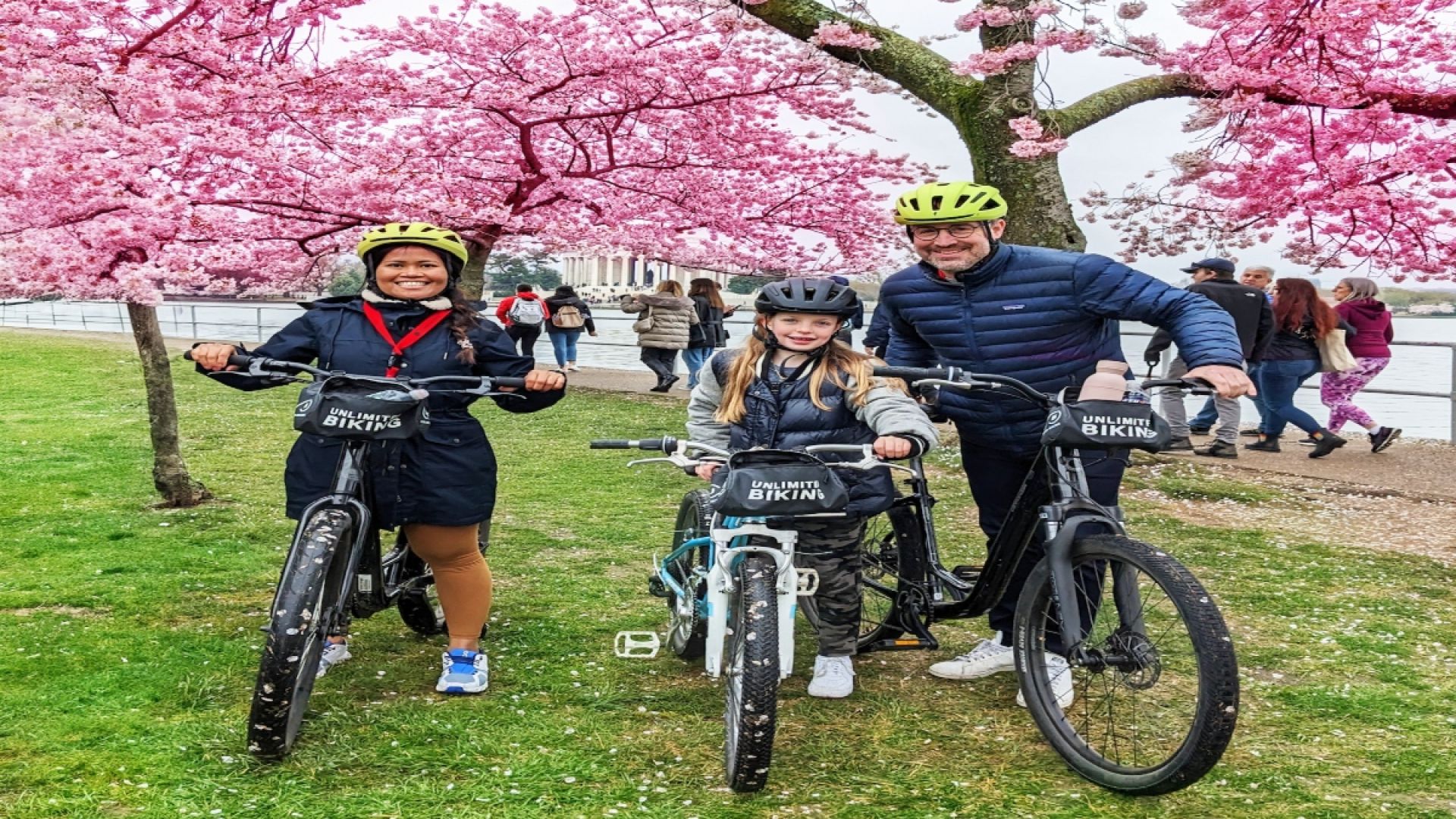 Cherry Blossoms Bike Tour