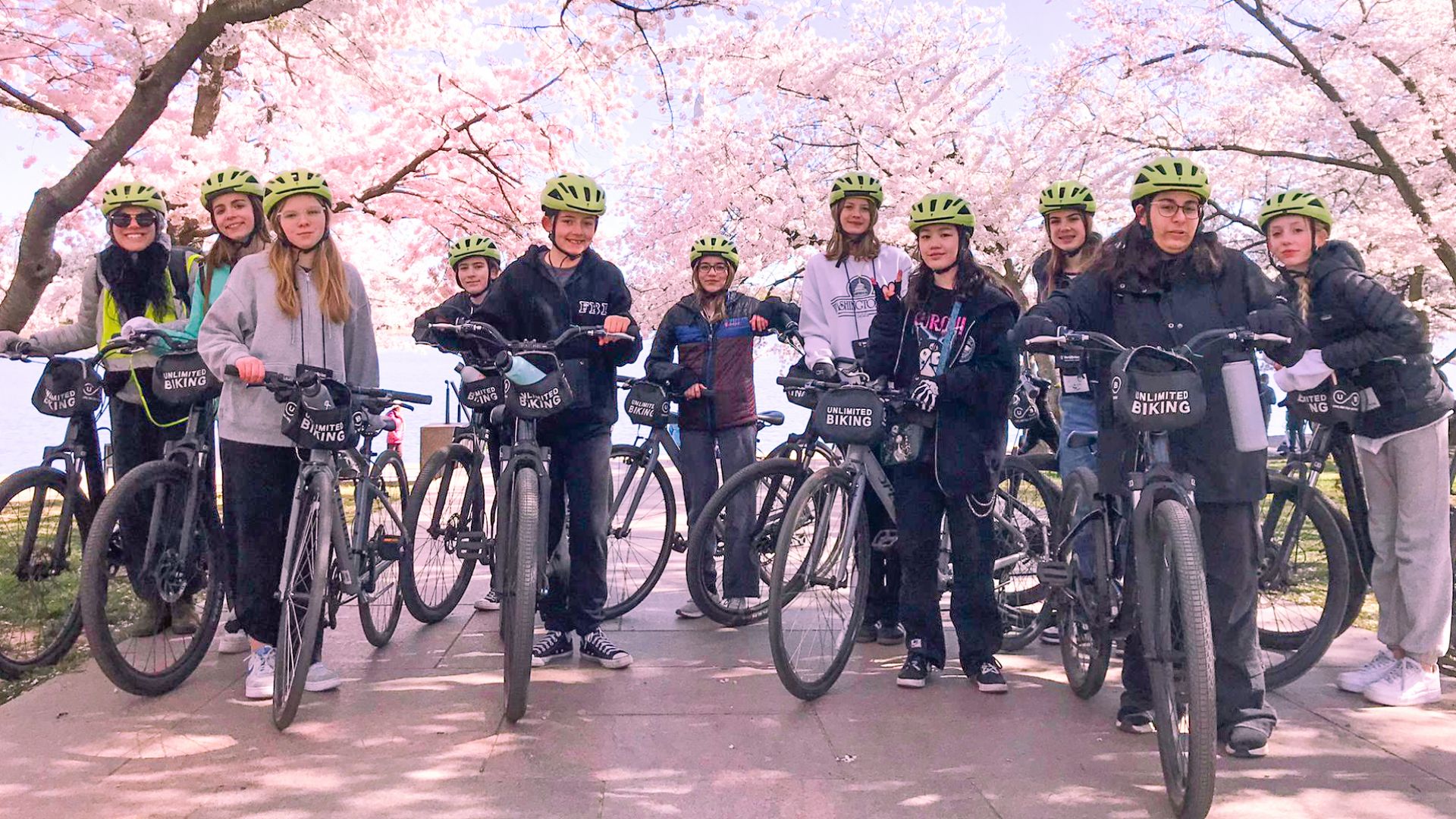 Cherry Blossoms Bike Tour