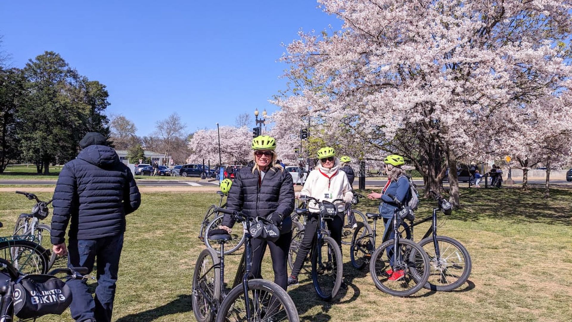 Cherry Blossoms Bike Tour