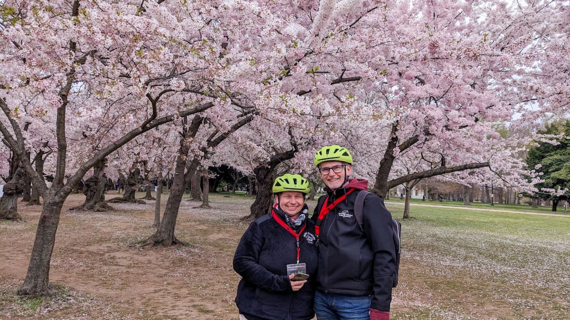 Cherry Blossoms Bike Tour