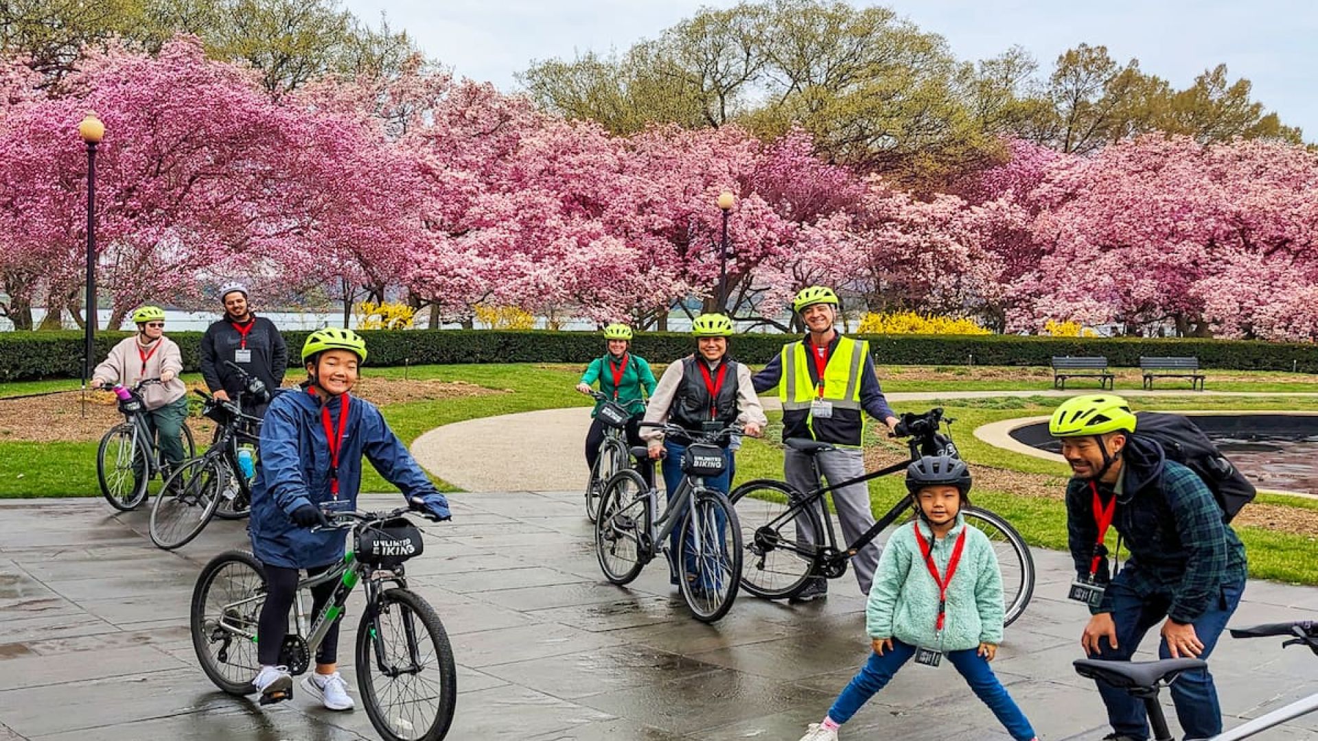 Cherry Blossoms Bike Tour