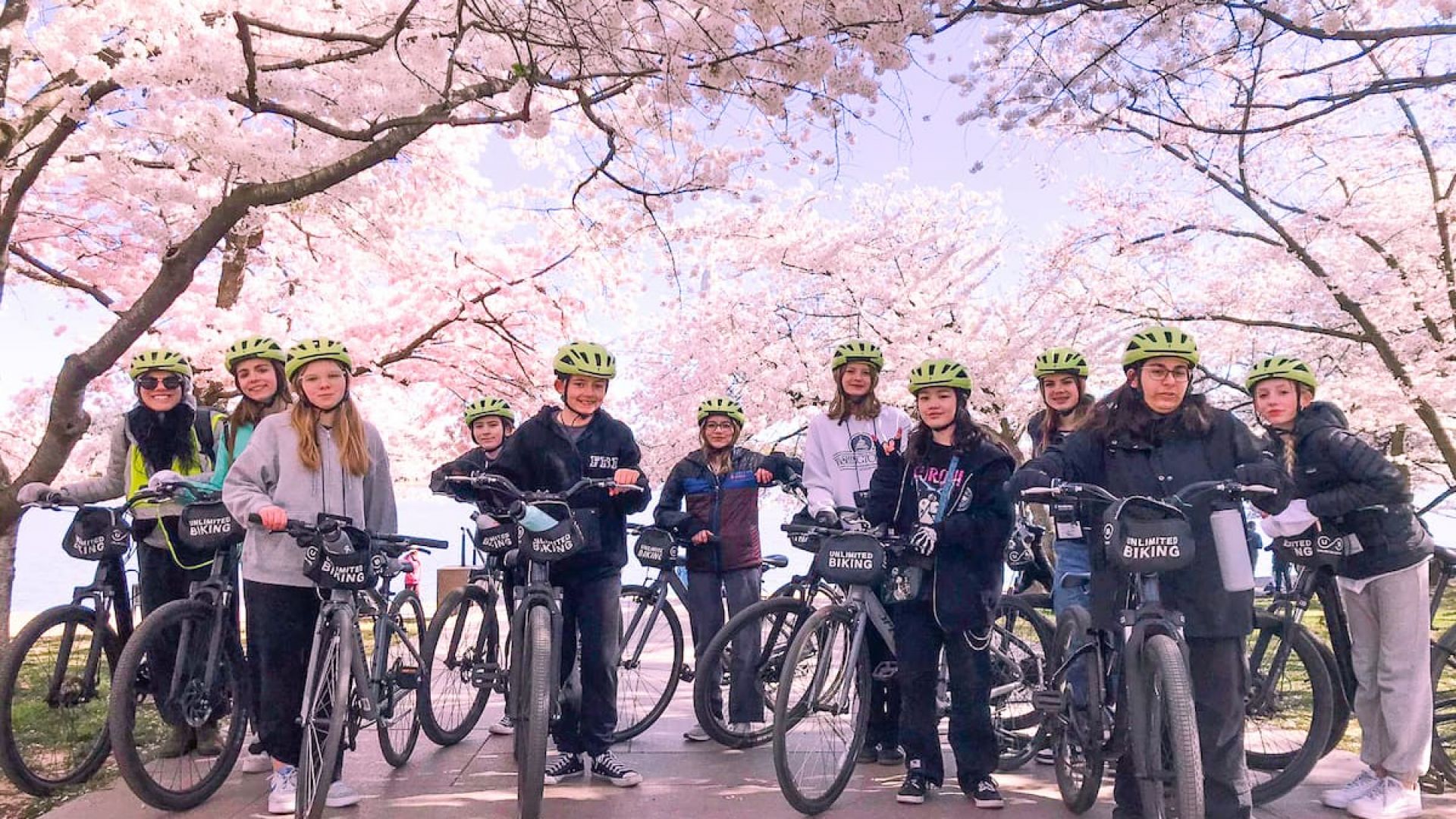 Cherry Blossoms Bike Tour
